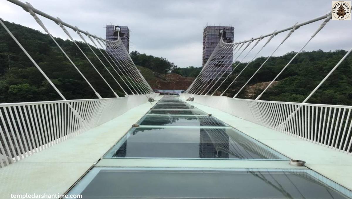 Rajgir Glass Bridge Prices, Timings & What to Expect