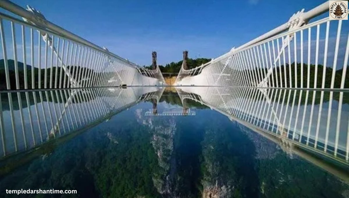 Rajgir Glass Bridge Ticket Worth ₹150 Find Out!